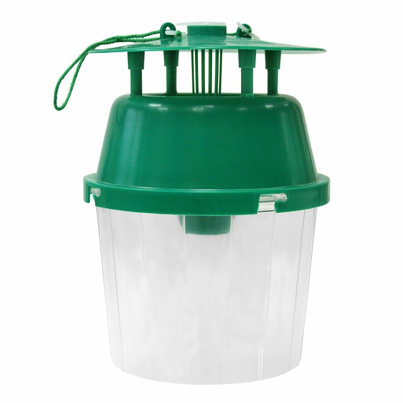 Difusor Cydalima perspectalis 60 dias